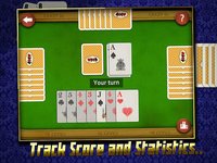 Crazy Eights! screenshot, image №900029 - RAWG