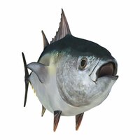 Glorious Tuna screenshot, image №2710476 - RAWG