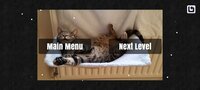 Cazzle - Sleeping Cat Puzzles screenshot, image №3537292 - RAWG