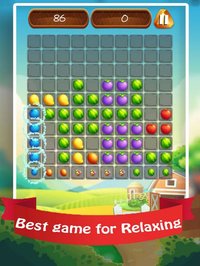 Block Fruit Puzzle 2017 screenshot, image №920591 - RAWG