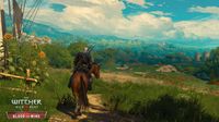 The Witcher 3: Wild Hunt – Blood and Wine screenshot, image №624511 - RAWG