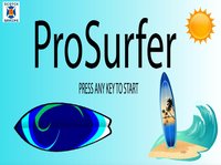 Pro Surfer screenshot, image №1978934 - RAWG