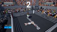 Tactic Boxing screenshot, image №4020662 - RAWG