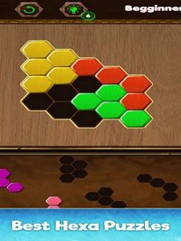 Amazing Hexa Classic: Puzzle G screenshot, image №1611732 - RAWG