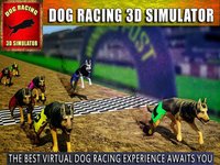Race Dog Racer Simulator 2016 – Virtual Racing Championship with Real Police Dogs screenshot, image №1743297 - RAWG
