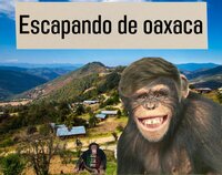 Escapando de oaxaca screenshot, image №3606675 - RAWG