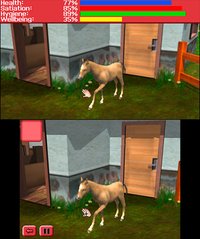 My Vet Practice 3D - In the Country screenshot, image №262378 - RAWG