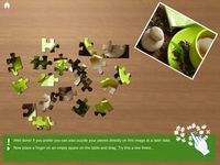 Ravensburger Puzzle - the jigsaw collection screenshot, image №63855 - RAWG