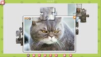 1001 Jigsaw. Cute Cats 3 screenshot, image №3744125 - RAWG