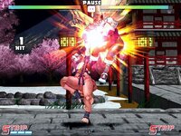 Strip Fighter 5: Chimpocon Edition screenshot, image №3147077 - RAWG