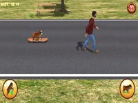 Bulldog on Skateboard 3D screenshot, image №1695202 - RAWG