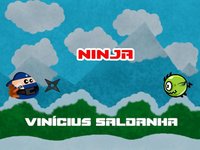 Ninja - Vinícius Saldanha screenshot, image №2185805 - RAWG