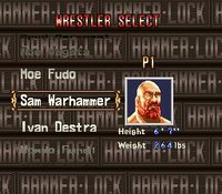 HammerLock Wrestling screenshot, image №761761 - RAWG