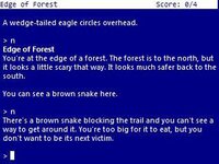 Kenny Koala's Bushfire Survival Plan (TALP) screenshot, image №3362451 - RAWG