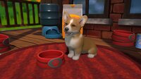 Little Friends: Puppy Island screenshot, image №3900714 - RAWG