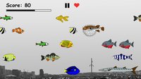 Hungry Fish Evolution screenshot, image №863243 - RAWG