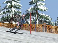 Alpine Skiing 2006 screenshot, image №439134 - RAWG