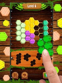 Hexa Wood Block Puzzle! screenshot, image №901386 - RAWG