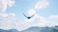 FREEDOM screenshot, image №2867988 - RAWG