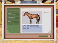 Pferd & Pony: Lass uns reiten 2 screenshot, image №513546 - RAWG
