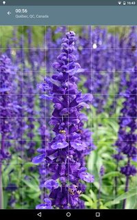 Jigsaw Puzzle: Flowers screenshot, image №1497480 - RAWG