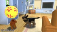 Petz: Dogz Family screenshot, image №246000 - RAWG