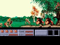 Ivanhoe - Sega Megadrive screenshot, image №2802185 - RAWG