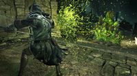 Dark Souls II: Crown of the Sunken King screenshot, image №619751 - RAWG