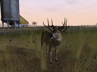 Deer Hunter 2005 screenshot, image №405104 - RAWG