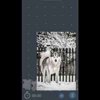 G.PIX: Husky Jigsaw Puzzle screenshot, image №2870244 - RAWG