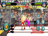 Wrestling Cage Revolution Game screenshot, image №908859 - RAWG