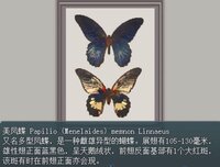 Byakuya Museum screenshot, image №3890172 - RAWG
