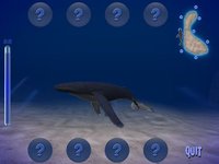 Humpback Whale Free screenshot, image №955021 - RAWG