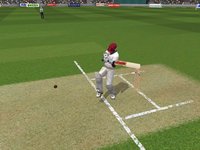 Brian Lara International Cricket 2005 screenshot, image №410479 - RAWG