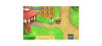 Harvest Moon 3D: The Tale of Two Towns screenshot, image №260109 - RAWG