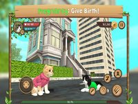 Cat Sim Online: Play With Cats screenshot, image №2042815 - RAWG
