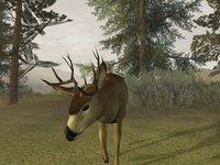 Deer Hunter 2005 screenshot, image №405121 - RAWG