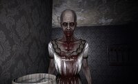 The Maid screenshot, image №4173750 - RAWG