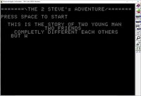 THE 2 STEVE's ADVENTURE screenshot, image №3148549 - RAWG