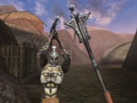 The Elder Scrolls III: Morrowind screenshot, image №289968 - RAWG