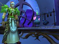 World of Warcraft screenshot, image №352141 - RAWG