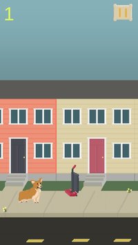 Corgi Course screenshot, image №1270056 - RAWG