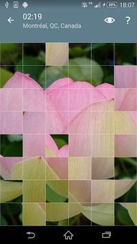 Jigsaw Puzzle: Flowers screenshot, image №1497469 - RAWG