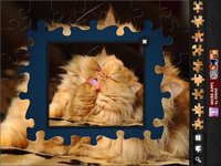 Jigsaw Puzzles: Funny Cats screenshot, image №905083 - RAWG