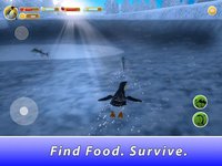 Penguin Family Simulator screenshot, image №1625931 - RAWG