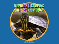 turtle pictures to win for kids - free screenshot, image №1669882 - RAWG