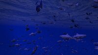 Be a Fish - VR Simulator screenshot, image №2696369 - RAWG