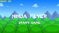 Ninja Flyer screenshot, image №2699453 - RAWG