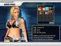 Dead or Alive Online screenshot, image №480246 - RAWG