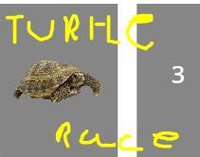TURTLE RACE (Fire_turtleGamer) screenshot, image №3505256 - RAWG